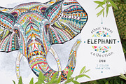 Ethnic Collection: Elephant