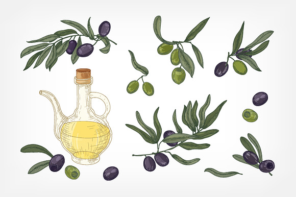 Olive set and seamless in Illustrations - product preview 1