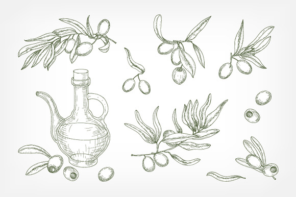 Olive set and seamless in Illustrations - product preview 2