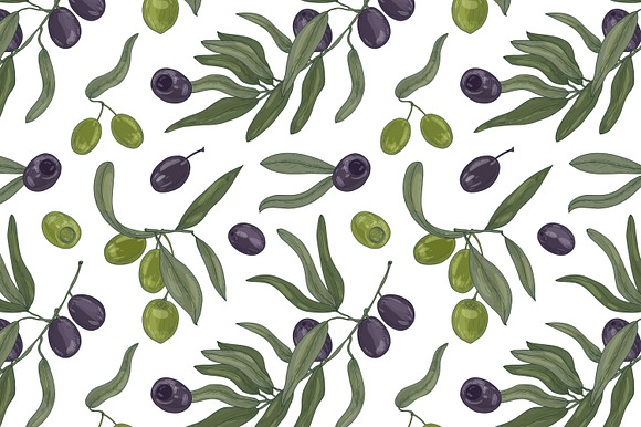 Olive set and seamless in Illustrations - product preview 3