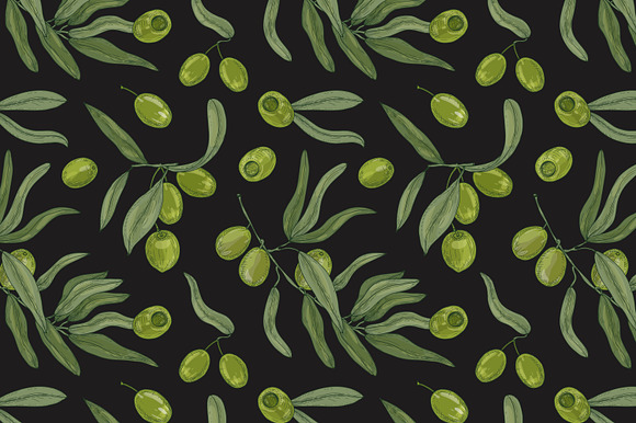 Olive set and seamless in Illustrations - product preview 8
