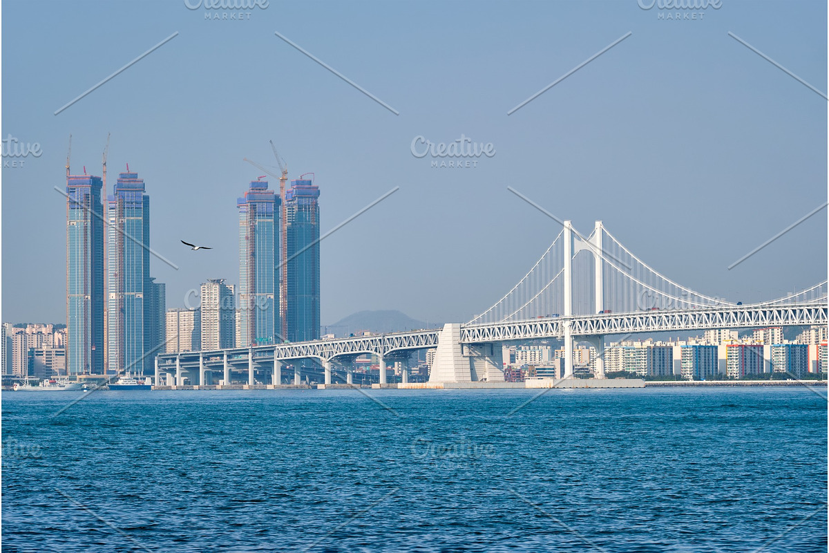 Gwangan Bridge and skyscrapers in in Graphics - product preview 8