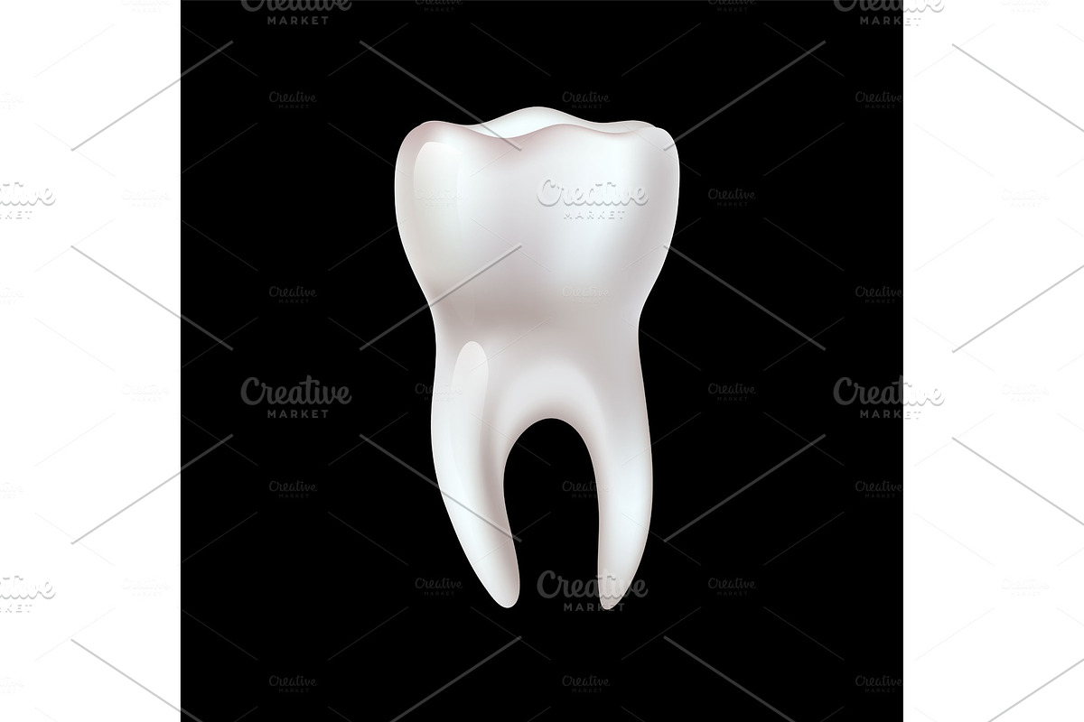 Realistic teeth anatomy illustration in Illustrations - product preview 8