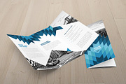 Cool Blue Trifold