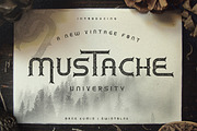 Mustache University 75% OFF Discount