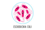 Funny gut escherichia coli bacteria