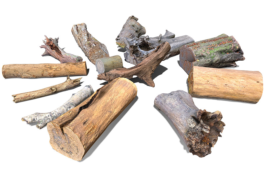 13 Tree Logs in Nature - product preview 12