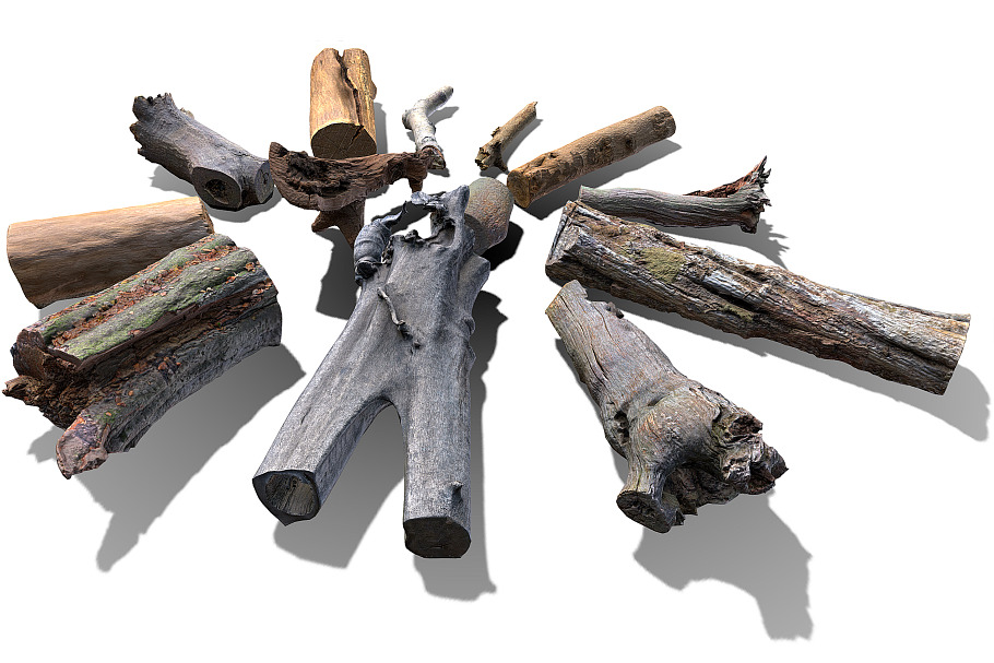13 Tree Logs in Nature - product preview 14
