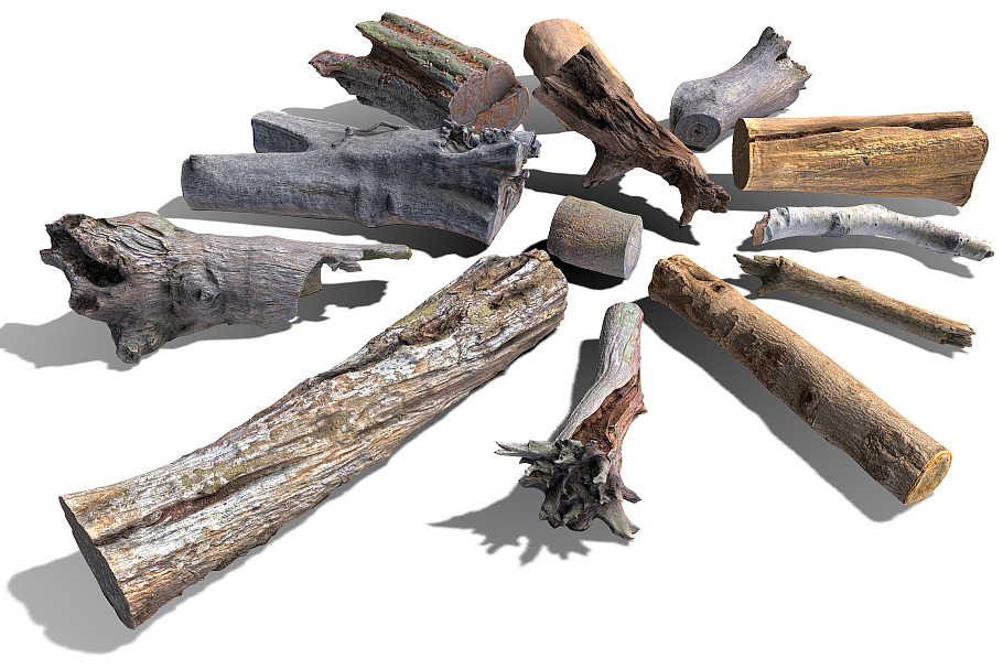 13 Tree Logs in Nature - product preview 16