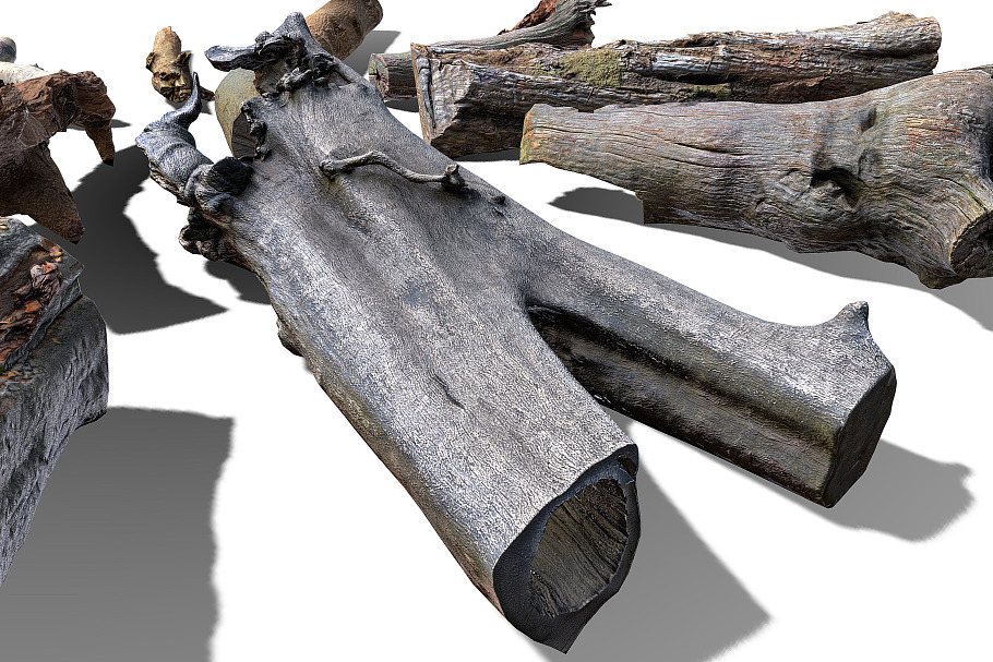 13 Tree Logs in Nature - product preview 19