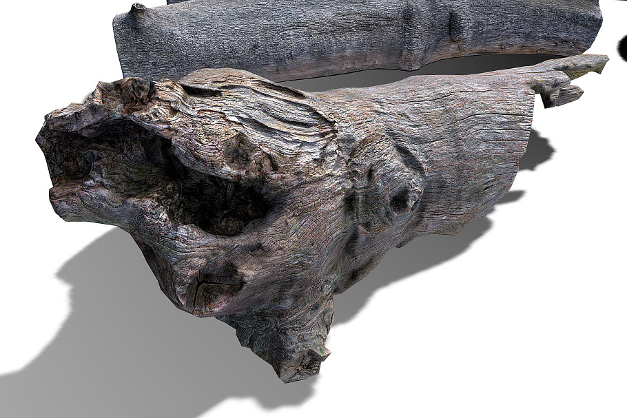 13 Tree Logs in Nature - product preview 20