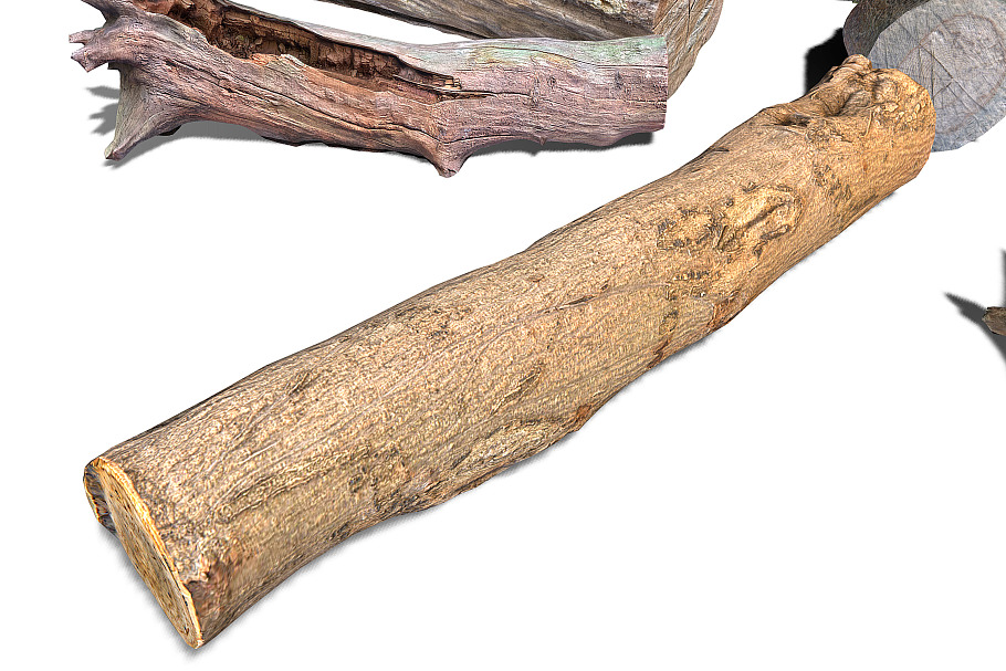 13 Tree Logs in Nature - product preview 25