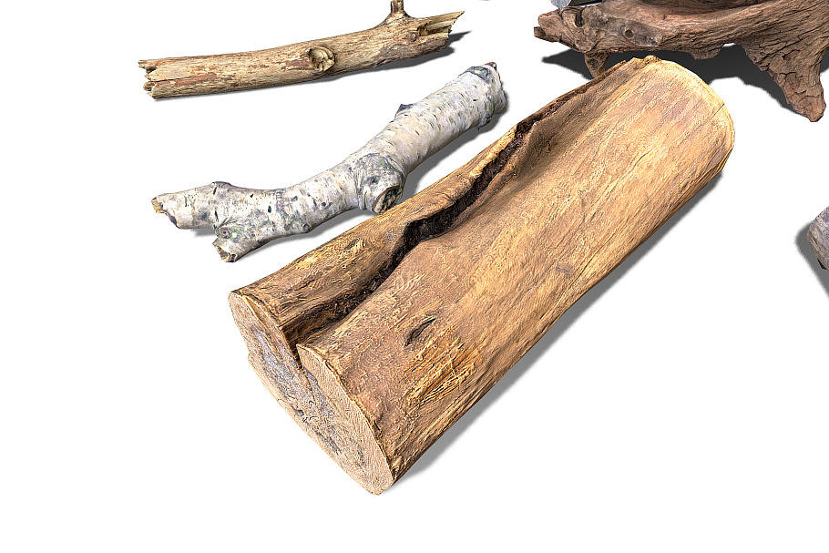 13 Tree Logs in Nature - product preview 29