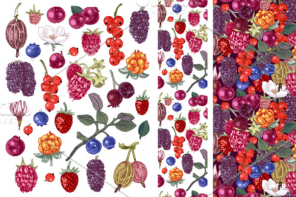 Fresh berries in Illustrations - product preview 3