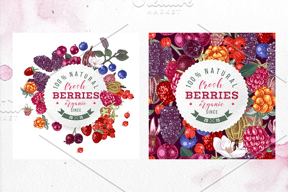 Fresh berries in Illustrations - product preview 4