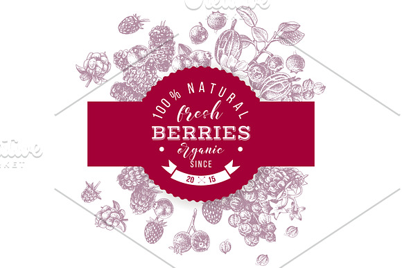 Fresh berries in Illustrations - product preview 6