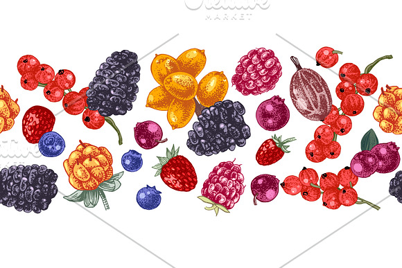Fresh berries in Illustrations - product preview 7