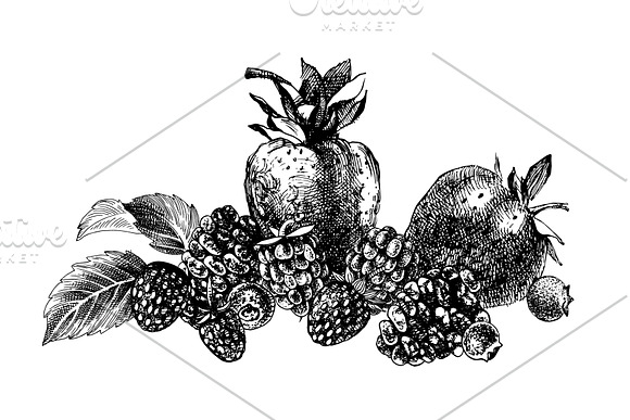 Fresh berries in Illustrations - product preview 10