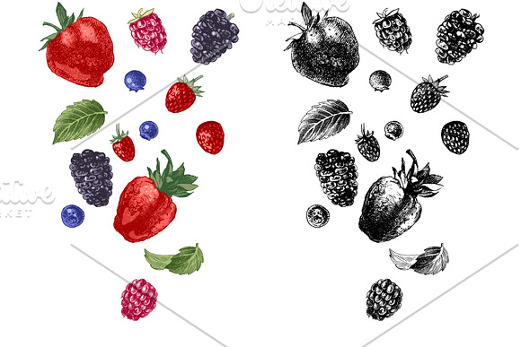 Fresh berries in Illustrations - product preview 11