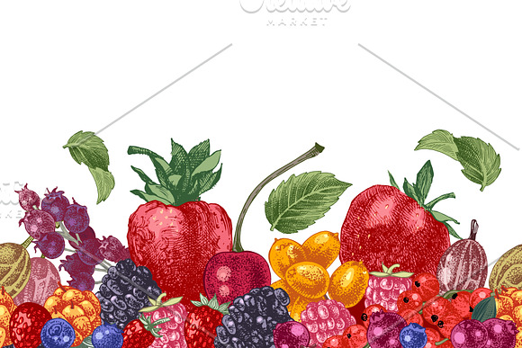 Fresh berries in Illustrations - product preview 13