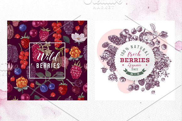 Fresh berries in Illustrations - product preview 15