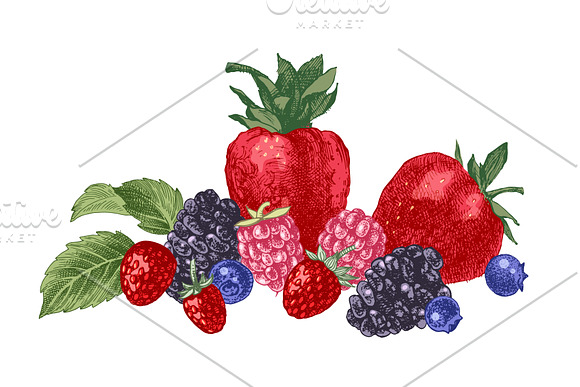 Fresh berries in Illustrations - product preview 18
