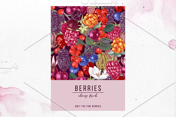 Fresh berries in Illustrations - product preview 19