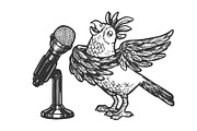 Cartoon singing parrot sketch
