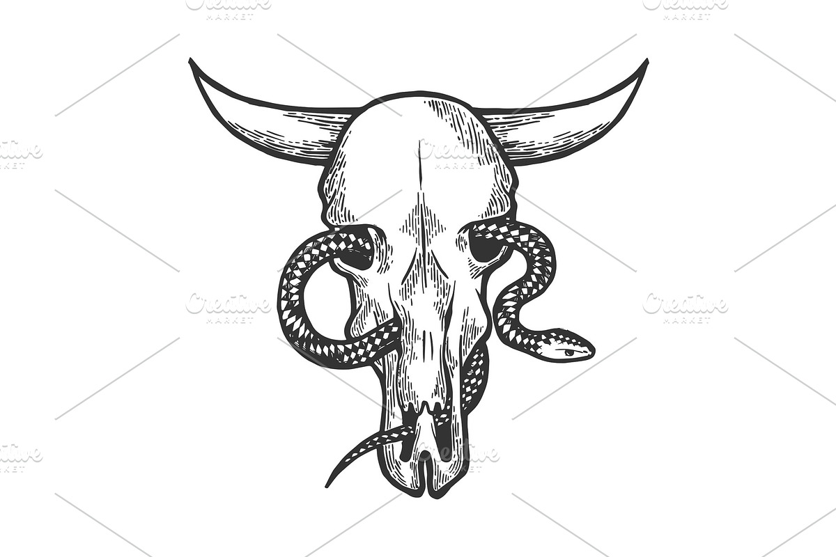 Snake in cow skull sketch engraving in Illustrations - product preview 8