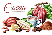 Cocoa. Watercolor collection