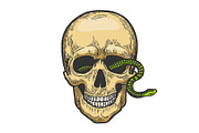 Snake human skull color sketch