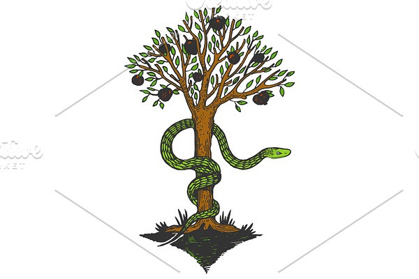Snake and tree of life color sketch