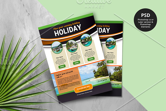 Travel Flyer V985 in Flyer Templates - product preview 1