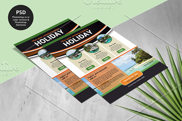 Travel Flyer V985 in Flyer Templates - product preview 2