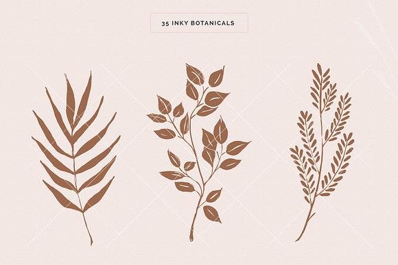 Organic Botanicals & Logo Designs in Illustrations - product preview 3