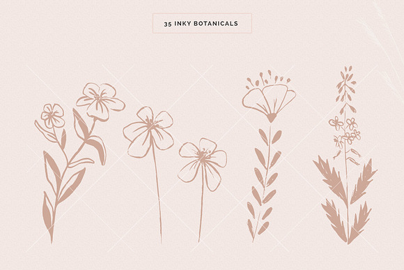 Organic Botanicals & Logo Designs in Illustrations - product preview 4