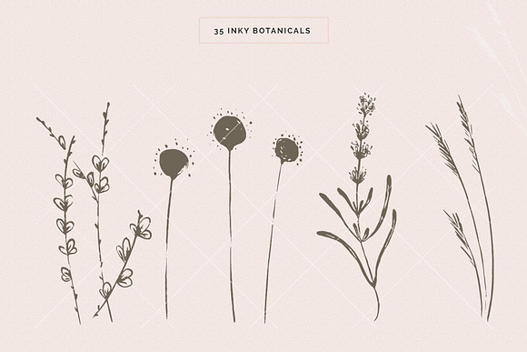 Organic Botanicals & Logo Designs in Illustrations - product preview 5