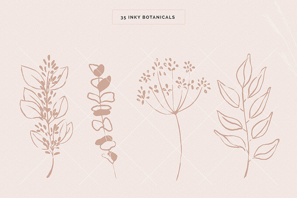 Organic Botanicals & Logo Designs in Illustrations - product preview 6