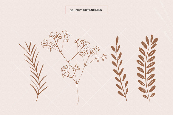 Organic Botanicals & Logo Designs in Illustrations - product preview 7
