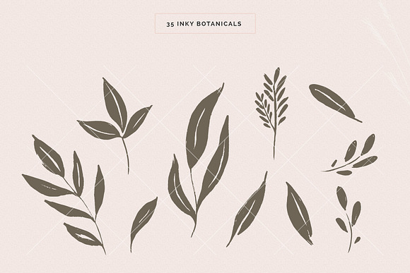 Organic Botanicals & Logo Designs in Illustrations - product preview 8