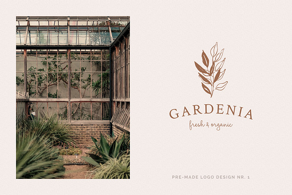 Organic Botanicals & Logo Designs in Illustrations - product preview 12