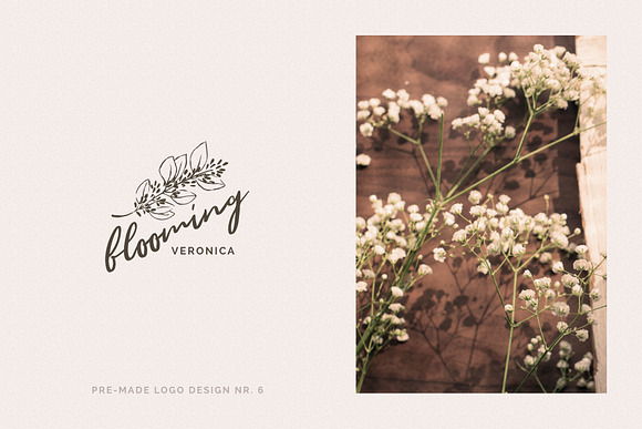 Organic Botanicals & Logo Designs in Illustrations - product preview 13