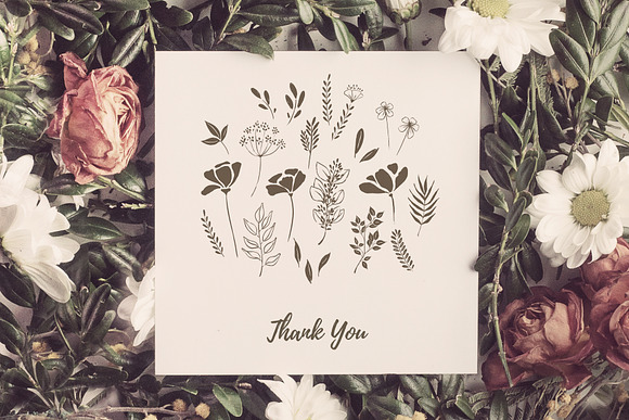 Organic Botanicals & Logo Designs in Illustrations - product preview 16