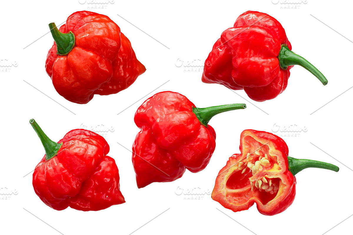 Trinidad Scorpion Pepper in Objects - product preview 8