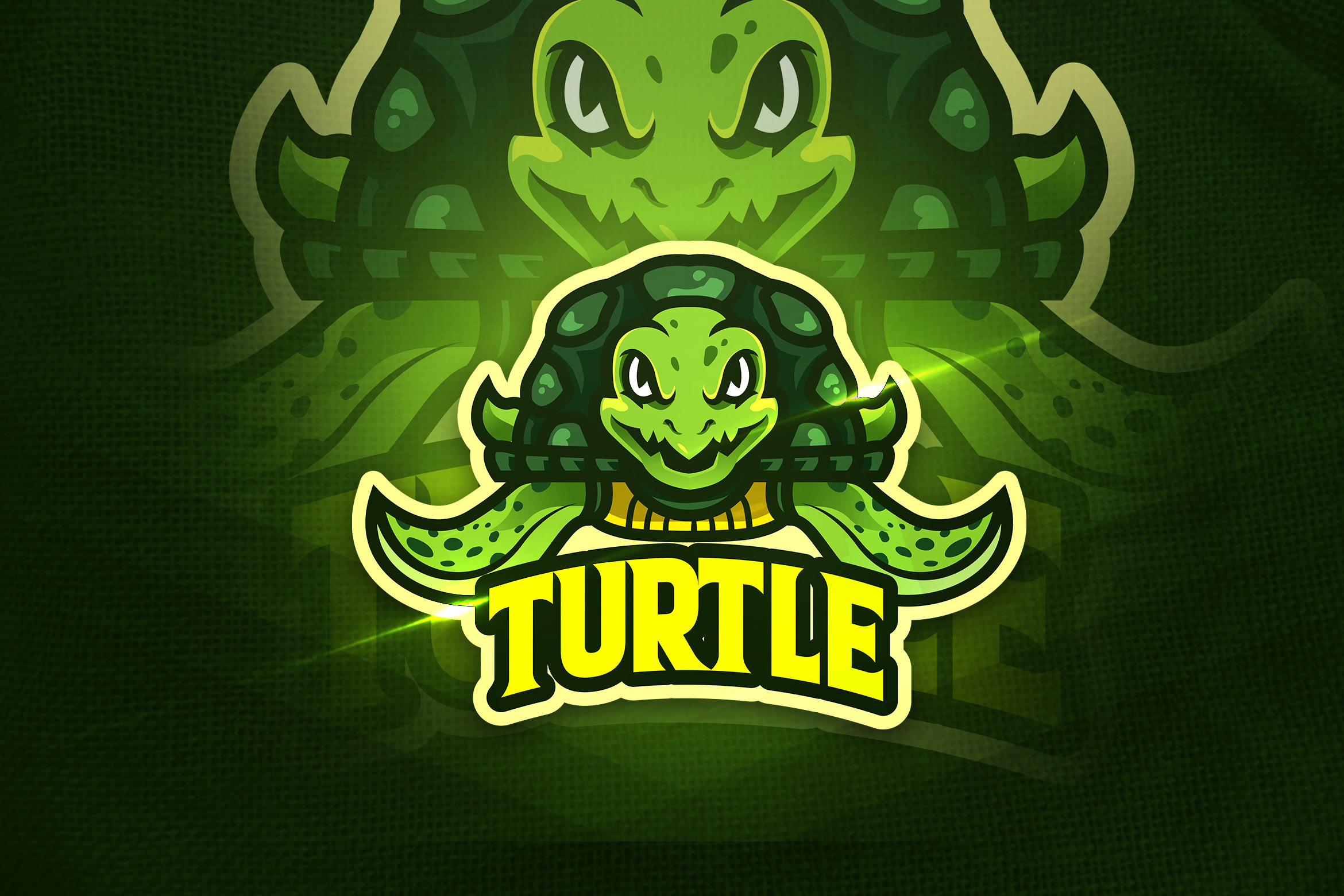 Turtle Esports