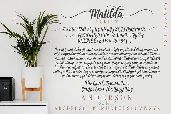 Matilda Anderson Font Duo in Script Fonts - product preview 7