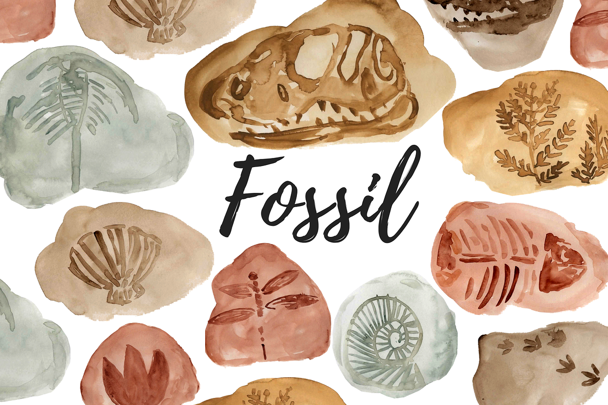 Watercolor Fossil Dinosaur Clipart in Illustrations - product preview 8