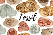 Watercolor Fossil Dinosaur Clipart