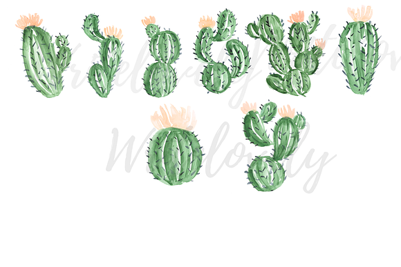 Watercolor Cactus Clipart in Illustrations - product preview 1