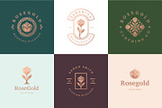 Rose Gold Logo Combinations